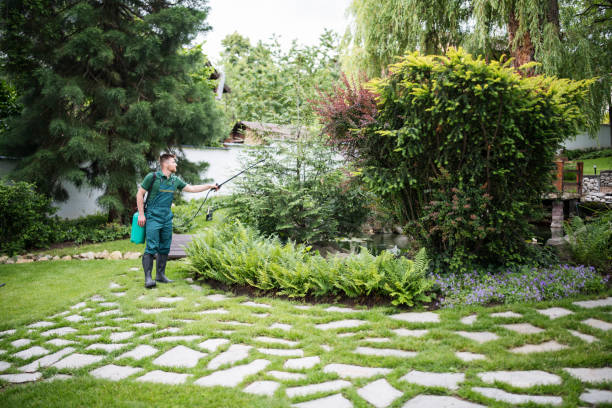 Best Wasp Removal Services  in Scenic, AZ