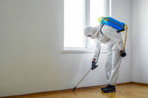 Best Pest Control Near Me in Scenic, AZ