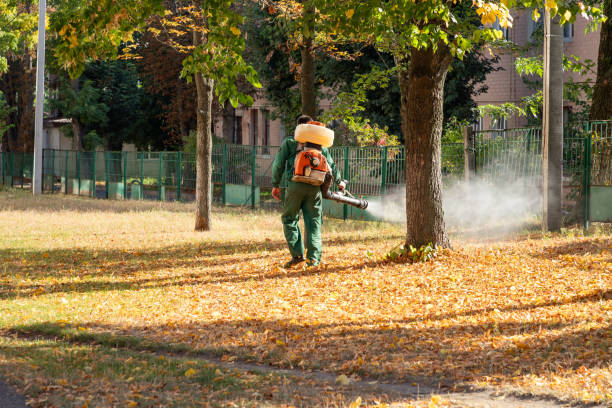 Best Insect Control  in Scenic, AZ